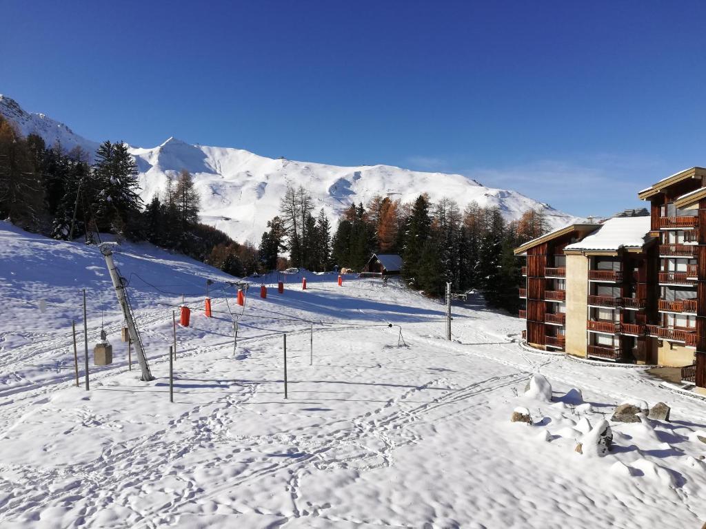 Studio 1 pièce PLAGNE VILLAGE 4 personnes 2050 M PIED DES PISTES Plagne Villages Résidence Les Hameaux II, 73210 Plagne Villages