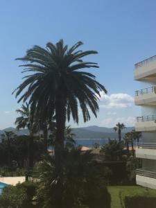 Appartement Studio 127, vue mer et piscine, port Santa Lucia LE MEXICO BAT B2 APT 127, 467 Boulevard Raymond Poincare 83700 Saint-Raphaël Provence-Alpes-Côte d\'Azur