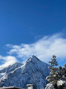 STUDIO 2 ALPES STYLE CHALET au PIED DE TELESIEGE DU DIABLE