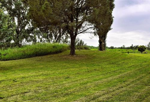 Studio 24 m2 - Hameaux de Camargue - village 9 - 13200 Arles