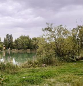 Studio 24 m2 - Hameaux de Camargue - village 9 - 13200 Arles