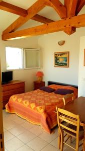 studio 25M2 avec 1 canapé convertible grand confort pour 2 personnes presqu'île des Giens
