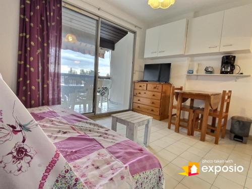 Studio 4 couchages piscine , plage , vue canigou