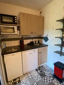 Studio 4 pers à 100m des pistes- Vars les claux