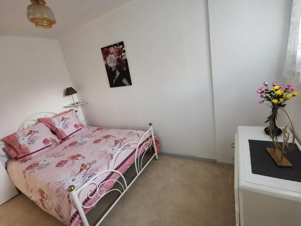 Studio 4 personnes Jungle Font Romeu 66120 Font-Romeu-Odeillo-Via