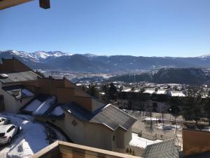 Studio 4 personnes Jungle Font Romeu
