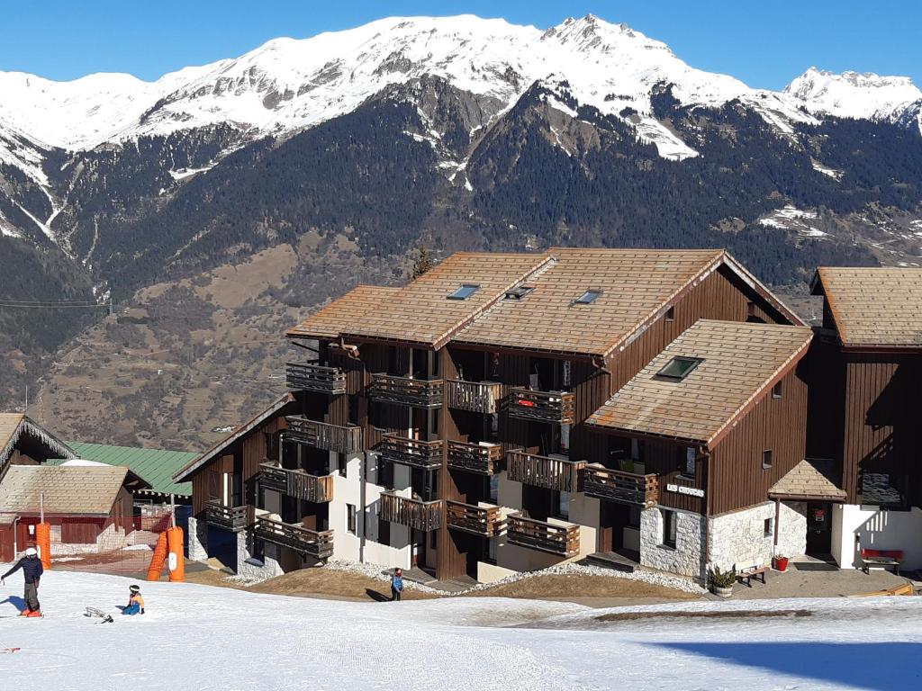 Studio 442 au pied des pistes La Plagne Résidence les Choucas Route de Montalbert, 73210 Aime-La-Plagne