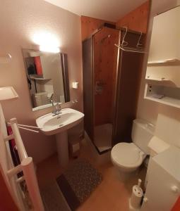 Studio 442 au pied des pistes La Plagne