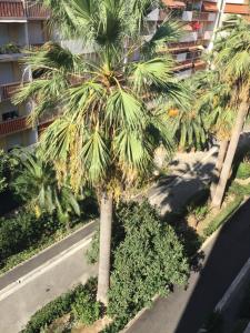 Studio à 2pas de la promenade des anglais