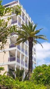 Studio a Cannes a 650 m de la plage avec vue sur la ville terrasse et wifi