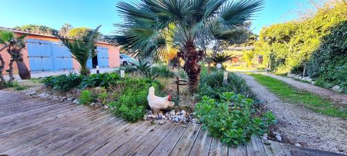 Studio a Hyeres a 50 m de la plage avec jardin clos et wifi