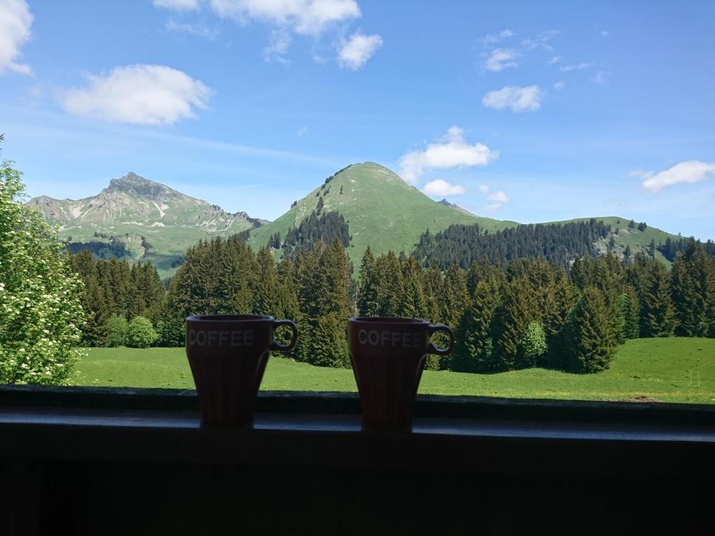 Studio à la montagne - Le Praz de Lys Bâtiment Les Pralyssimes 956 route de chevaly, Le Praz de Lys, 74440 Taninges