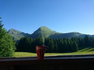 Studio à la montagne - Le Praz de Lys