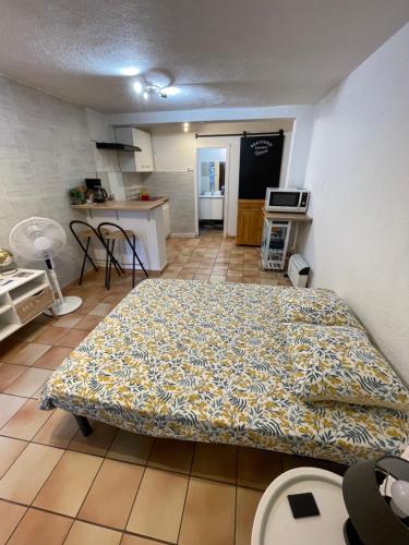 Studio a Perpignan au pied du Castillet