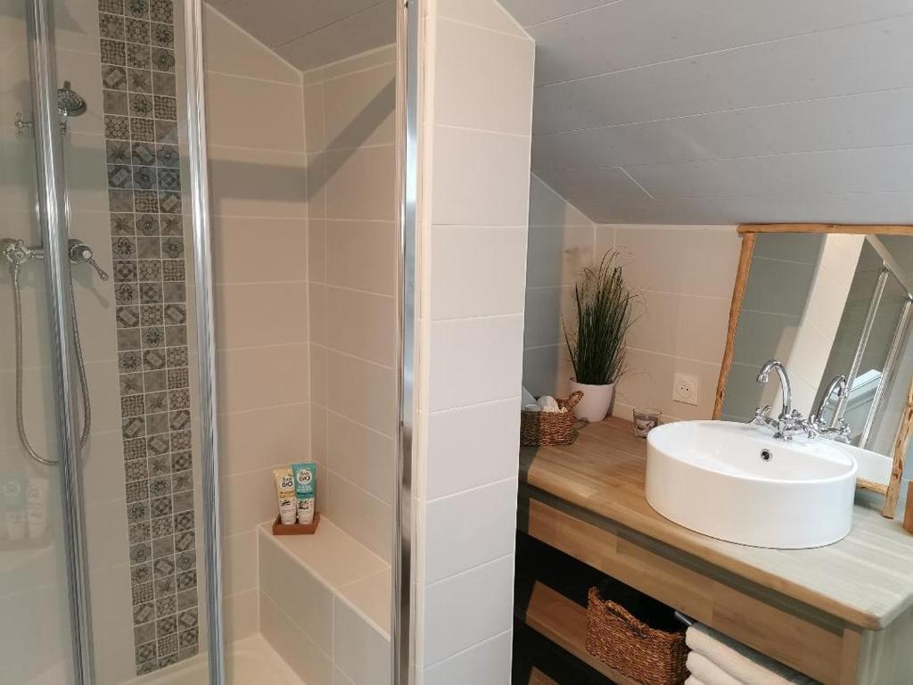 Studio Abondance, 1 pièce, 4 personnes - FR-1-692-79