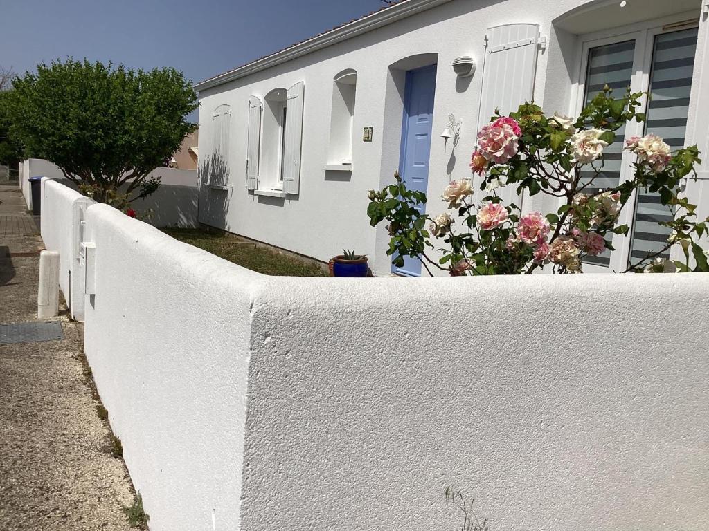 Studio Adal d'Arvor