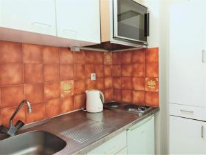 Studio Aix-les-Bains, 1 pièce, 1 personne - FR-1-555-36