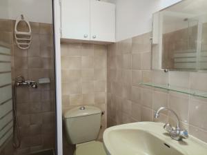 Studio Aix-les-Bains, 1 pièce, 1 personne - FR-1-555-36