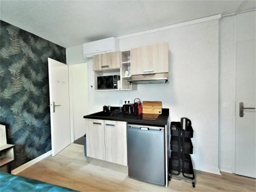 Studio Aix-les-Bains, 1 pièce, 1 personne - FR-1-555-55