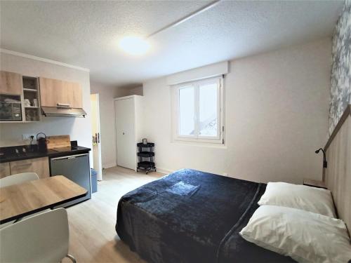 Studio Aix-les-Bains, 1 pièce, 2 personnes - FR-1-555-50