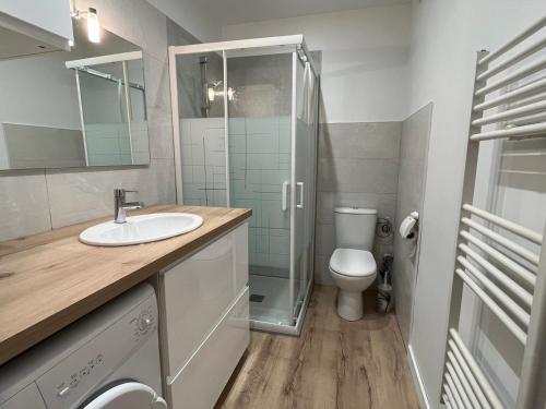 Studio Aix-les-Bains, 1 pièce, 2 personnes - FR-1-555-73