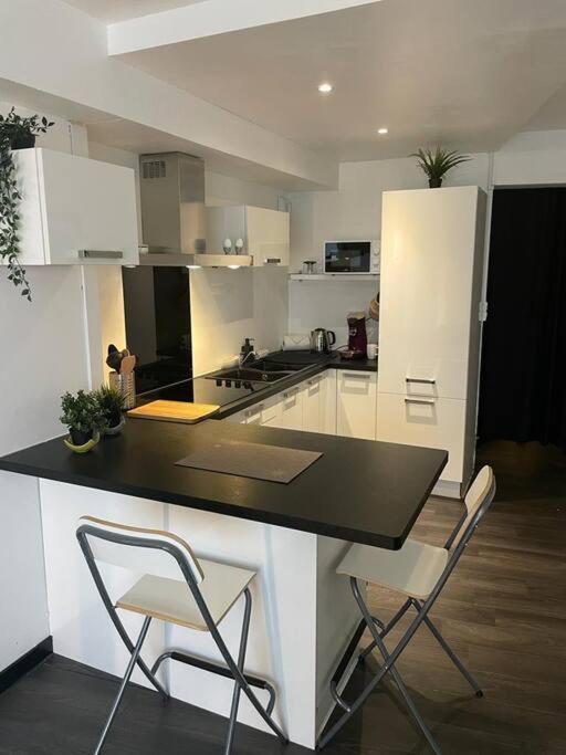 Studio Aix-les-Bains, 1 pièce, 2 personnes - FR-1-617-23 73100 Aix-les-Bains