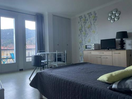 Studio Amélie-les-Bains-Palalda, 1 pièce, 2 personnes - FR-1-659-14
