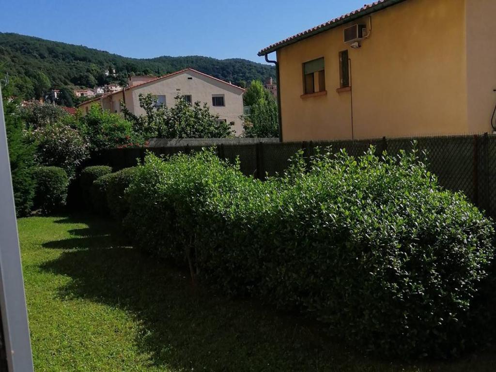 Appartement Studio Amélie-les-Bains-Palalda, 1 pièce, 2 personnes - FR-1-659-16 12 rue Joan Di, Résidence l'Ermitage , Bâtiment B, n°4 66110 Amélie-les-Bains-Palalda