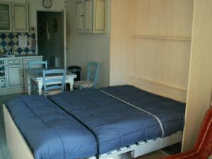 Studio Amélie-les-Bains-Palalda, 1 pièce, 2 personnes - FR-1-659-16