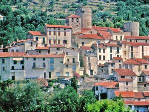 Studio Amélie-les-Bains-Palalda, 1 pièce, 2 personnes - FR-1-659-34