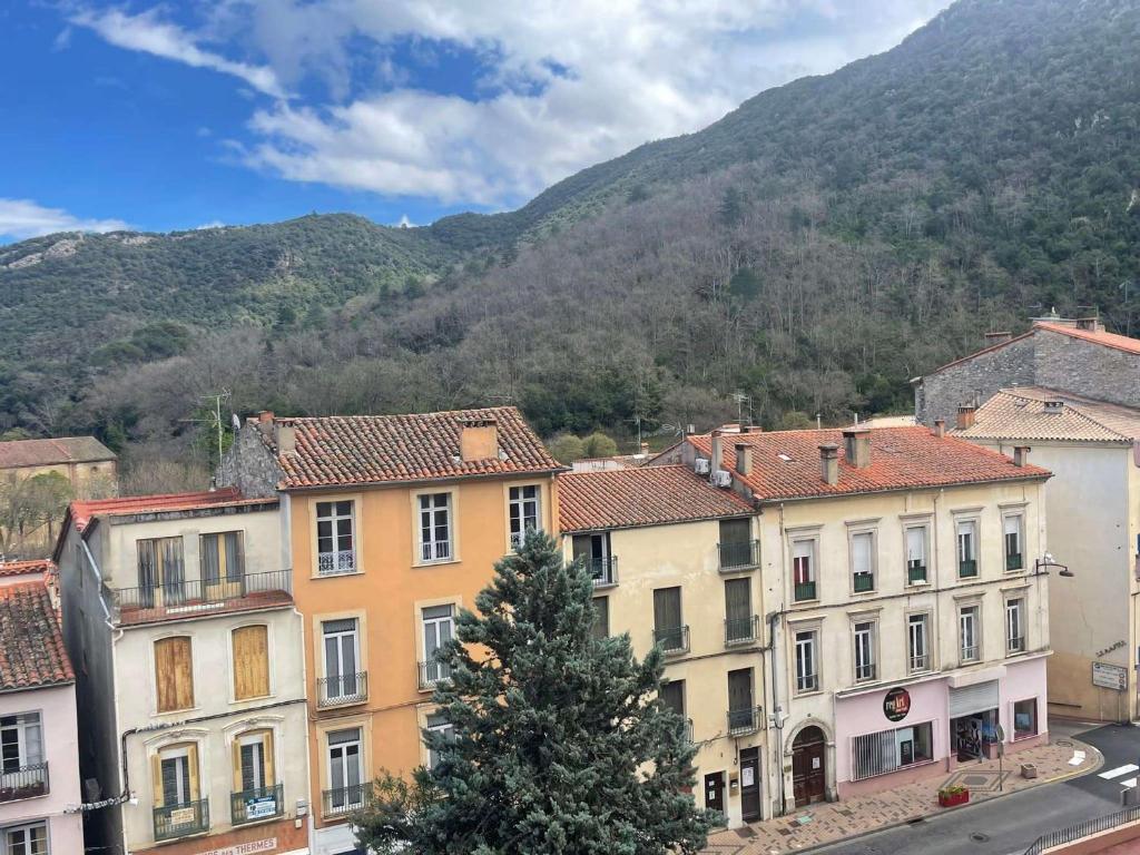 Appartement Studio Amélie-les-Bains-Palalda, 1 pièce, 2 personnes - FR-1-659-53 42 rue des thermes, Résidence des thermes, Bat B 66110 Amélie-les-Bains-Palalda