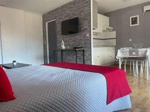 Studio Amélie-les-Bains-Palalda, 1 pièce, 2 personnes - FR-1-659-53