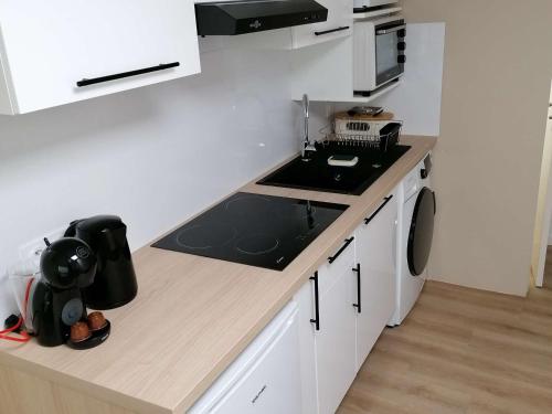 Studio Amélie-les-Bains-Palalda, 1 pièce, 2 personnes - FR-1-659-61