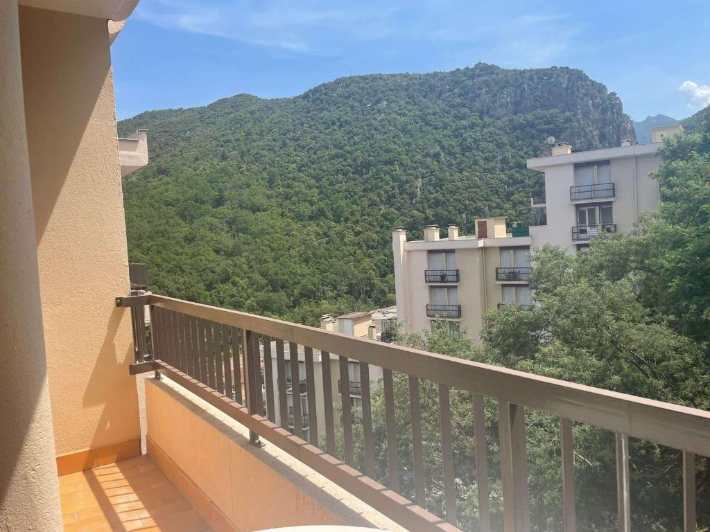 Appartement Studio Amélie-les-Bains-Palalda, 1 pièce, 2 personnes - FR-1-659-64 1 rue du parc, résidence des thermes, Batiment F2, n°325 66110 Amélie-les-Bains-Palalda