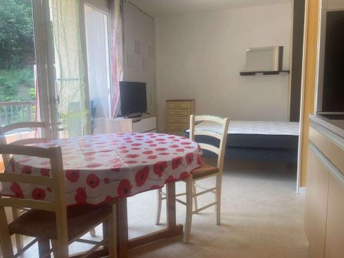 Studio Amélie-les-Bains-Palalda, 1 pièce, 2 personnes - FR-1-659-64
