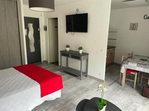 Studio Amélie-les-Bains-Palalda, 1 pièce, 2 personnes - FR-1-659-71