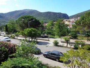 Studio Amélie-les-Bains-Palalda, 1 pièce, 2 personnes - FR-1-703-109