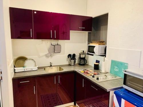 Studio Amélie-les-Bains-Palalda, 1 pièce, 2 personnes - FR-1-703-119
