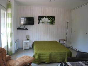 Studio Amélie-les-Bains-Palalda, 1 pièce, 2 personnes - FR-1-703-123