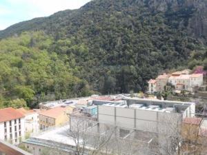 Studio Amélie-les-Bains-Palalda, 1 pièce, 2 personnes - FR-1-703-136