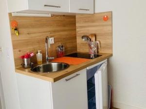 Appartement Studio Amélie-les-Bains-Palalda, 1 pièce, 2 personnes - FR-1-703-139 24 Rue des Thermes RDC 66110 Amélie-les-Bains-Palalda Languedoc-Roussillon