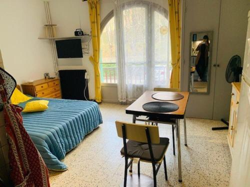 Studio Amélie-les-Bains-Palalda, 1 pièce, 2 personnes - FR-1-703-19