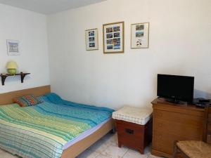 Studio Amélie-les-Bains-Palalda, 1 pièce, 2 personnes - FR-1-703-4