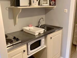Studio Amélie-les-Bains-Palalda, 1 pièce, 2 personnes - FR-1-703-40