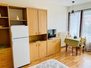 Studio Amélie-les-Bains-Palalda, 1 pièce, 2 personnes - FR-1-703-40