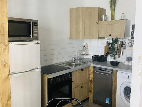 Studio Amélie-les-Bains-Palalda, 1 pièce, 2 personnes - FR-1-703-66