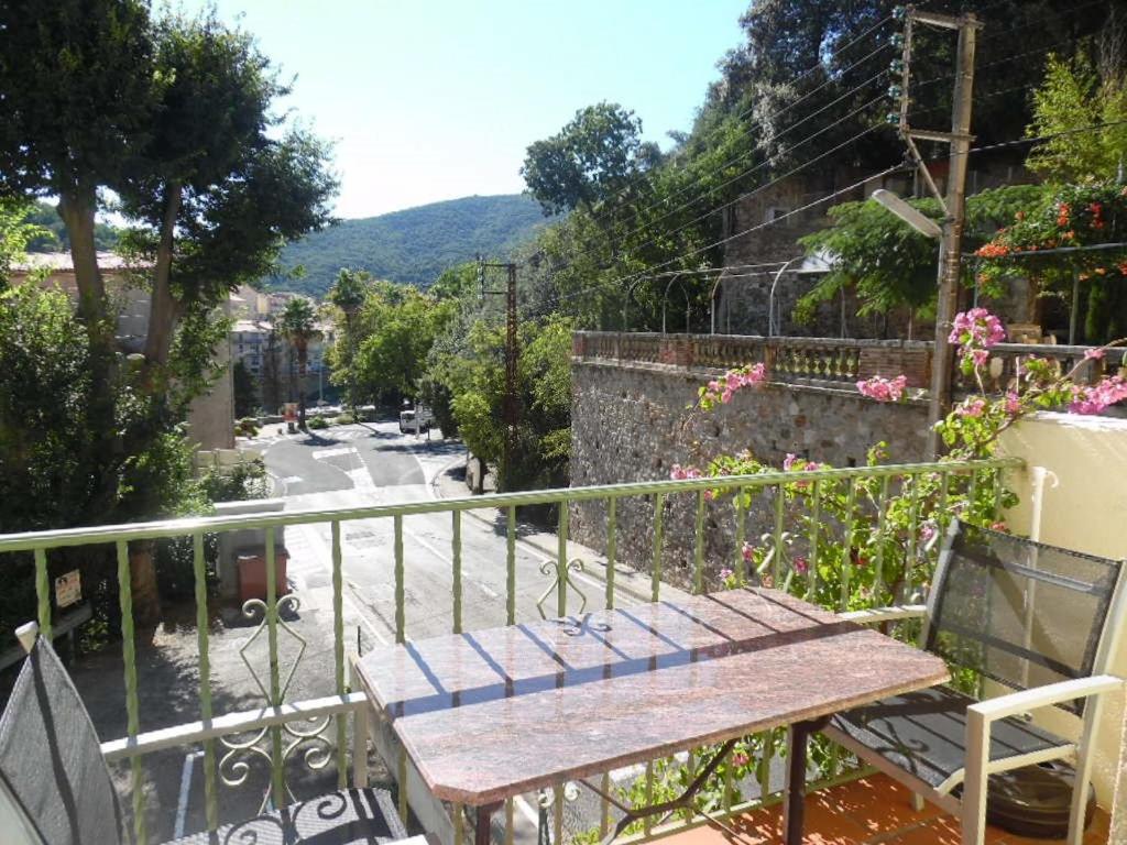 Studio Amélie-les-Bains-Palalda, 1 pièce, 2 personnes - FR-1-703-69 8 Av. du docteur Bouix Résidence Le Mexico- 1er étage - Apt N°11, 66110 Amélie-les-Bains-Palalda