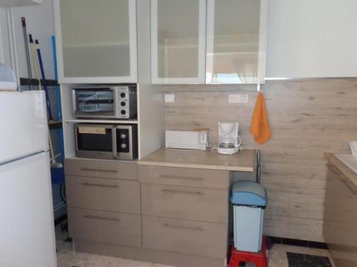 Studio Amélie-les-Bains-Palalda, 1 pièce, 2 personnes - FR-1-703-73
