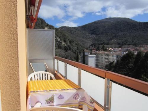Studio Amélie-les-Bains-Palalda, 1 pièce, 2 personnes - FR-1-703-74