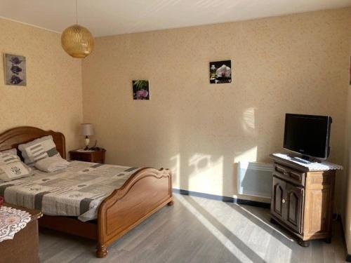 Studio Amélie-les-Bains-Palalda, 1 pièce, 2 personnes - FR-1-703-9
